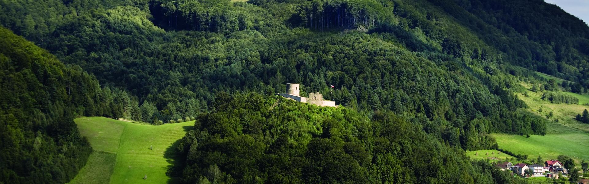 Ruiny zamku w Rytrze w oddali. Wokół lasy.