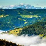 Widok na zielone lasy, wzgórza i Dolinę Popradu skąpane w mgle. W oddali widać Tatry.