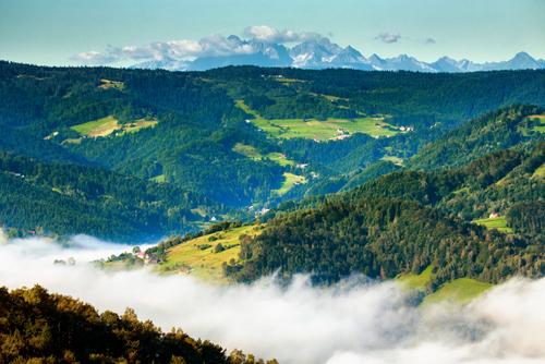 Widok na zielone lasy, wzgórza i Dolinę Popradu skąpane w mgle. W oddali widać Tatry.