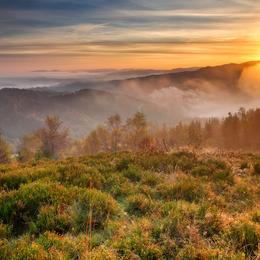 Obrazek: Odkryj Beskid Sądecki jesienią. Gra na wszystkich kolorach, wysyp darów natury i wyciszone szlaki!