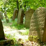 Bild: Jüdischer Friedhof in Nowy Wisnicz