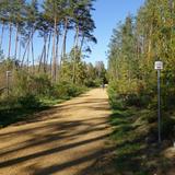 Image: Grodzisko and Skansen cycling route