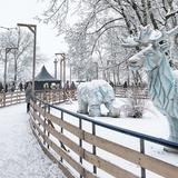 Immagine: Lodowisko Ice Park Kraków