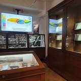 Gabloty z eksponatami oraz ekran z wyświetlonym przekrojem geologicznym