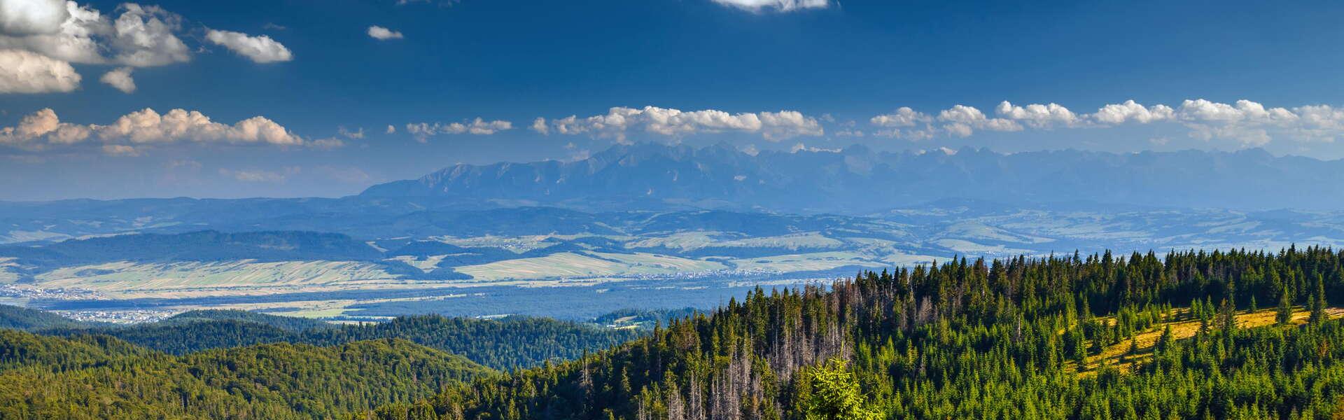 A view of the Gorce Mountains, a view of the Tatra Mountains in the background. Around forests and meadows
