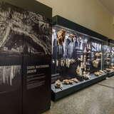 Gabloty w sali Muzeum Geologicznego WGGiOS AGH w Krakowie. Znajdują się w nich nacieki jaskiniowe wraz z opisami eskponatów.